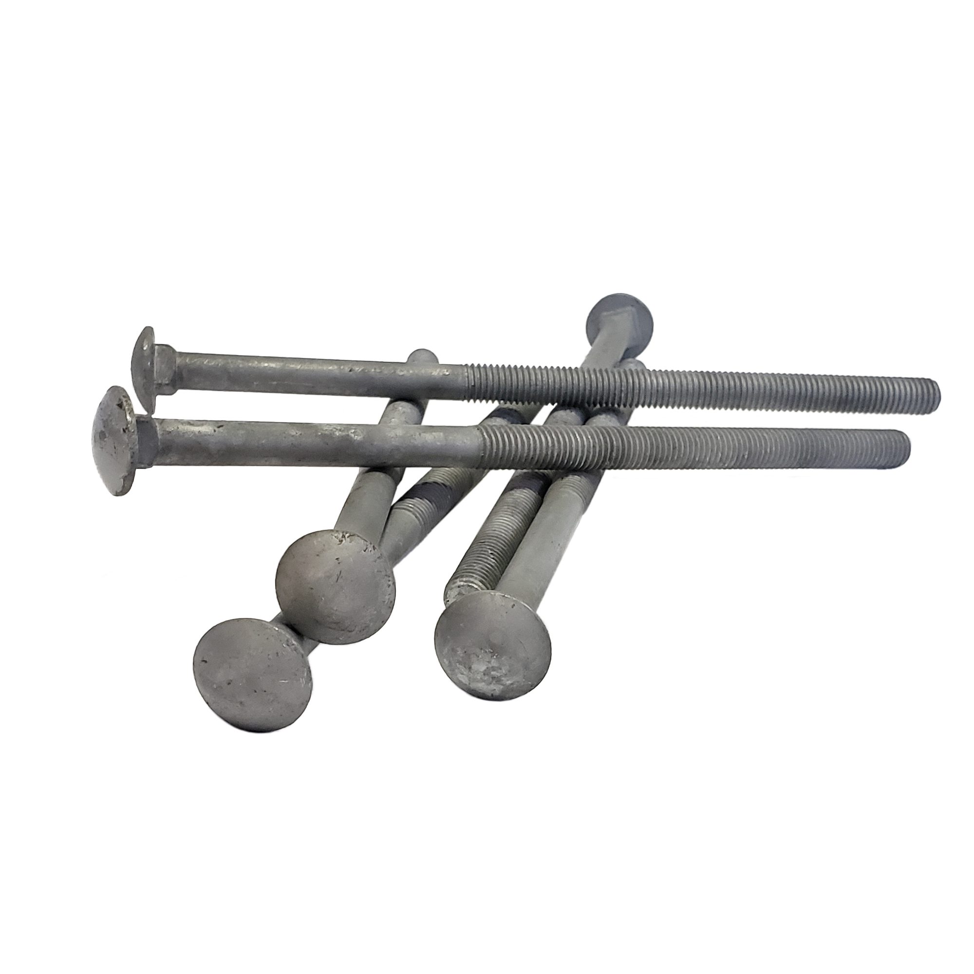1/2" - 13 x 10" Carriage Bolt | Round Head| Hot Dip Galvanized | 20pcs Box - Image 3