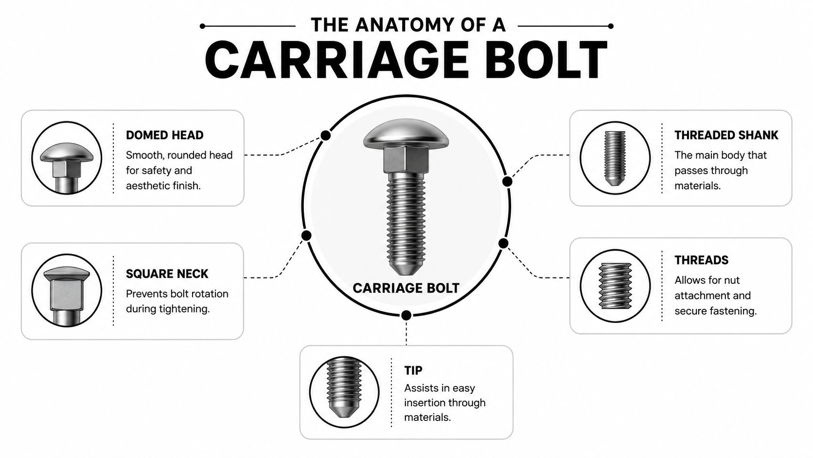 A detailed diagram illustrating the anatomy of a carriage bolt including its domed head, square neck, shank, and threads.
